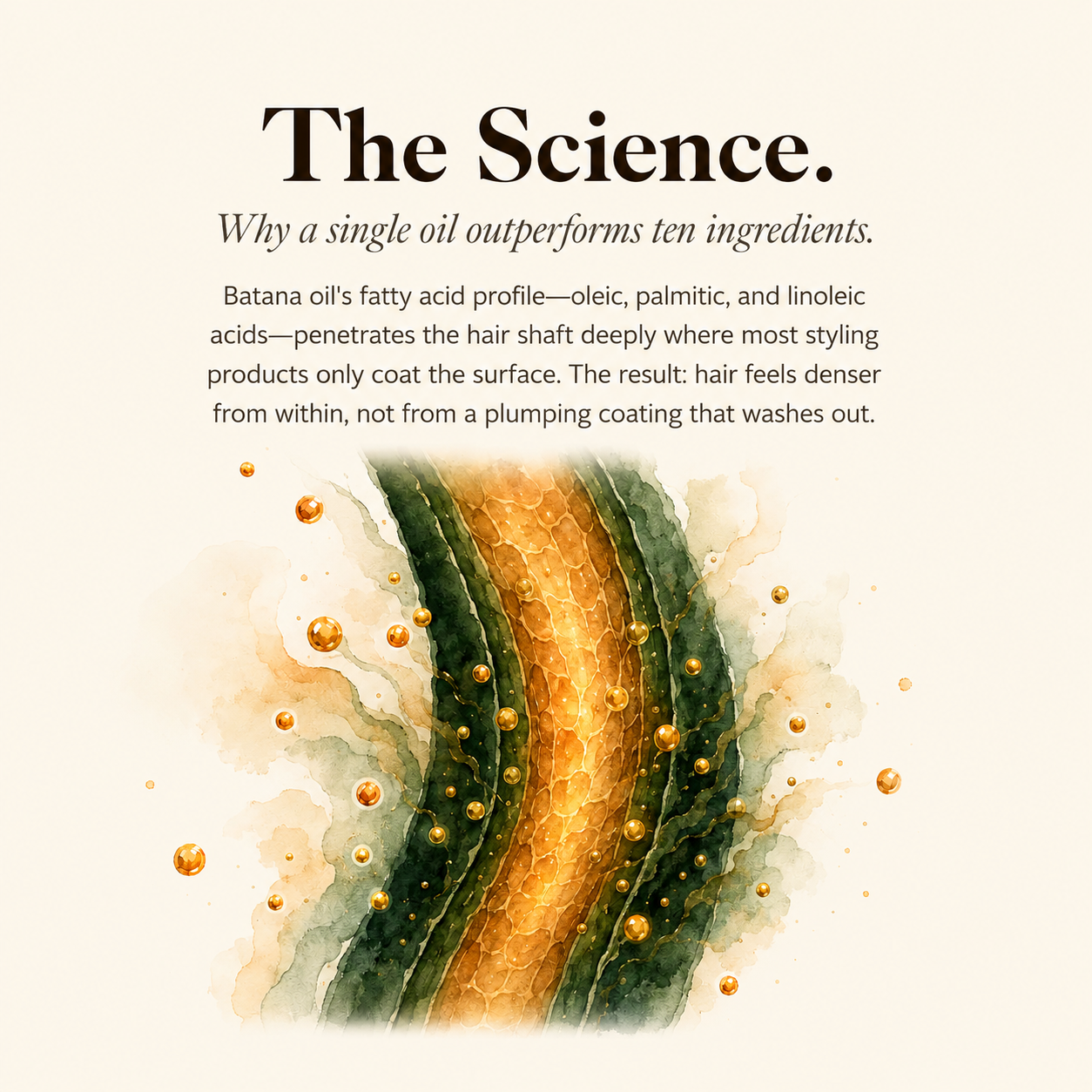 The Batana Oil